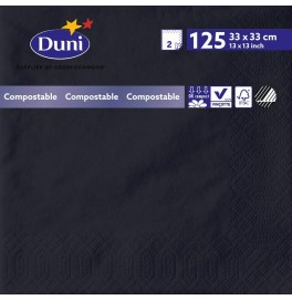 Салфетки 2-слойные, бумажные Duni Tissue, цвет: Чёрный, размер 33 х 33 см, 125 штук