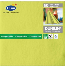 Салфетки бумажные Dunilin, цвет: Киви, размер 40 х 40 см, 50 штук